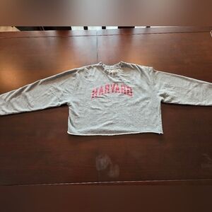 Harvard Cropped Sweatshirt Euc